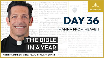 Day 36: Manna from Heaven — The Bible in a Year (with Fr. Mike Schmitz)