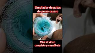 Cómo hacer un limpiador de patas casero para perros #perros #mascotas #perro