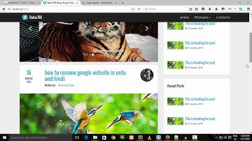 Get Post Data From Database Lecture 7 Section 3 in Urdu and Hind CMS