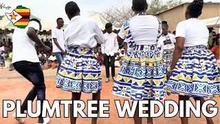 Zimbabwe Wedding Vlog in Plumtree 🇿🇼 | Lobola, Tradition & the White Wedding