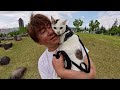 生後3週間で保護した子猫が公園デビューしたら・・・
