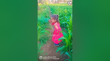 instagram vairal song dance video arash official #dance #video #shorts #short