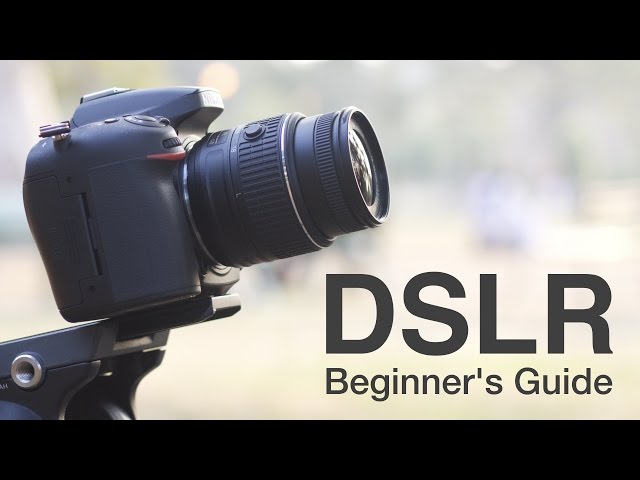 Beginner's guide to buying a camera for video: Digital Photography