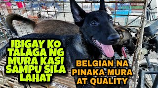 DAHIL ANG BABA NG PRESYO NI KUYA || ANGKAS KO NA YANG BELGIAN MO SA MOTOR KO