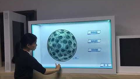 Dedi 55inch  Transparent LCD Display shwo box Digital Signage