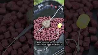 Inline leads for PVA bags: semi fixed or running?