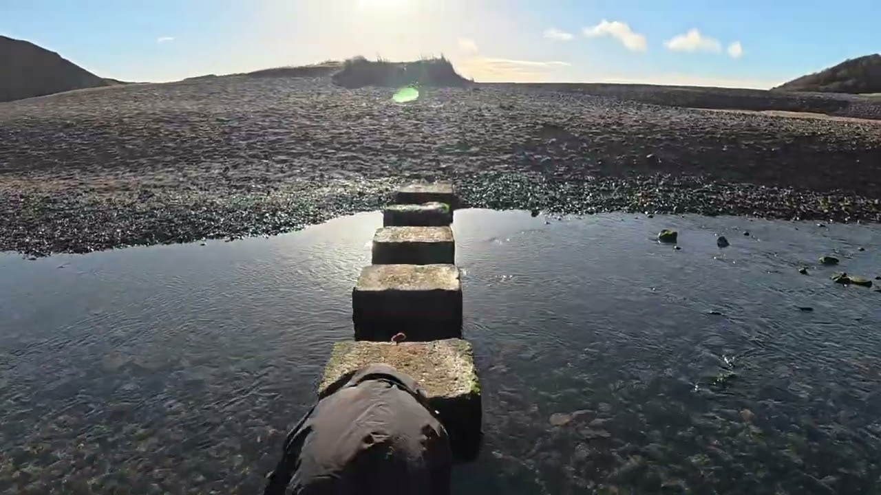3 Cliffs Bay & Pennard Castle Trek with Peggy 🐾