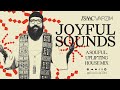 Joyful sounds  a soulful  uplifting house mix