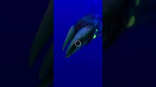 サブノーティカの世界でtiktokを撮ろうとすると...?【Subnautica Below Zero】 #shorts