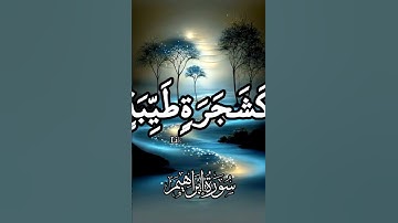 سورة إبراهيم #اكسبلور #دويتو #duet #الرحمن #تيك_توك #قران_كريم #حالات_واتس #لايك #راحة_نفسية #