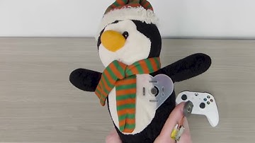 Demonstrating Passive yet Interactive Soft Haptic Patches Anywhere using MagnetIO