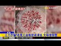 三方騙！男騙匯款訂「有錢花」 店家帳戶遭凍結@newsebc