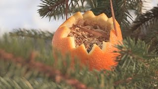 Учимся делать кормушку, мастерить которую под силу даже медведю Учимся делать кормушку, мастерить которую под силу даже медведю