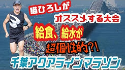猫ひろしチャンネル猫 ひろし Youtube