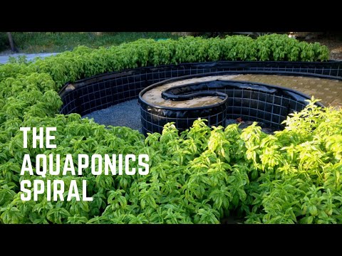 Tour of Our Spiral Aquaponics System at the Solar Living Center