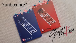 :  Stray kids - ODDINARY set/