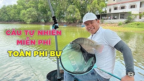Câu Đài Tự Nhiên Nhiều Cá Rô Phi Khủng | Chung Nguyễn Fishing