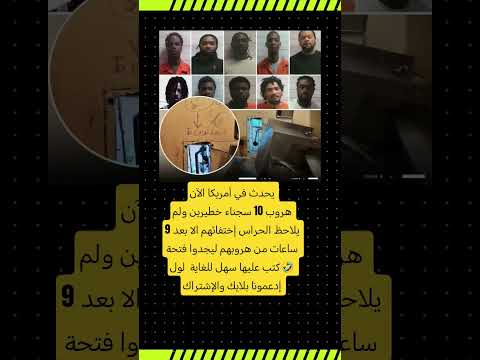تك تلقبض علي 9 منهم حتى الأن اكسبلور ترند    ترند معلومات غريبة
