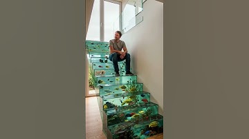 Chiếc cầu thang mang phong cách bể cá