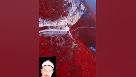 الشيخ حسن عبده فرحان البساتيني مزامير ءال داود سورتي التوبة وأول سورة يونس