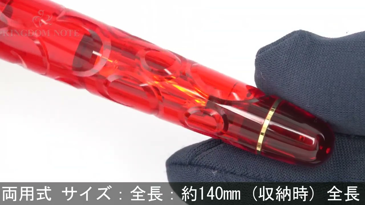 PLATINUM プラチナ 万年筆 #3776 センチュリー 富士旬景 錦秋 極細字