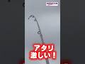 【キス釣り】こんな近くに25cm！秋のデカギスが潜んでいた！