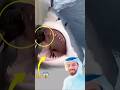 حين تشتد العواصف حتى تكاد تقتلعك من جذورك وحين يصبح الخوف ثقيلا كأنه يسحقك اكسبلور لايك 