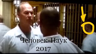 Человек- паук 2017 сцена после титров