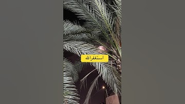 #تلاوة_خاشعة #إسلام_صبحي #اسلام_صبحي #خواتيم_سورة_المؤمنون #قرآن_كريم #اكسبلور #سورة_المؤمنون #دويتو