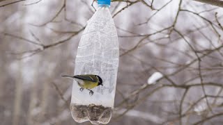 http://www.waysandhow.com Subscribe to Waysandhow: https://goo.gl/RK2SbN How to make bird feeder out of plastic bottles: 