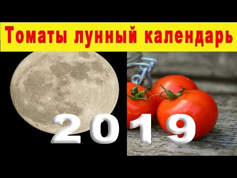 Лунный календарь огородника на 2019 год. Когда сажать рассаду томатов в 2019 году.