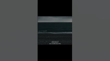 تلاوة القرآن الكريم ✨ متابعه فضلا وليس أمراً 🙏