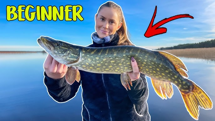 5 Ways To Learn Pike Fishing In The Archipelago 2024