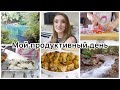 VLOG🇬🇷: МОЙ ПРОДУКТИВНЫЙ ДЕНЬ👌 | НОННА БУДНИ В ГРЕЦИИ