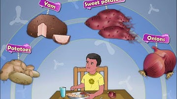 Learn Grade 1 - EVS - Our Food we Eat