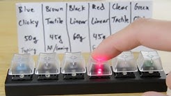 Beatthebush Youtube beatthebush youtube