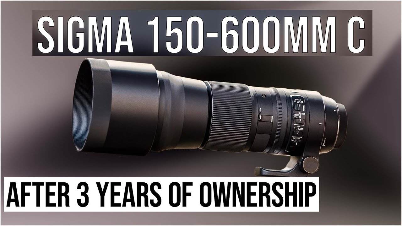 Sigma150-600mm contemporary lens REVIEW | after 3 years of owning
