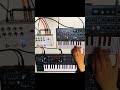 Ambient jam Microfreak + Minifreak #synth #theothersideofmakebelieve #ambientmusic #backgroundmusic