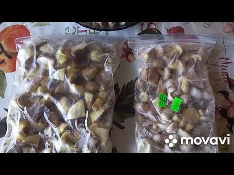 ‼️ЗАМОРОЗКА МАСЛЯТ🍄2 СПОСОБА ЗАМОРОЗКИ👍‼️