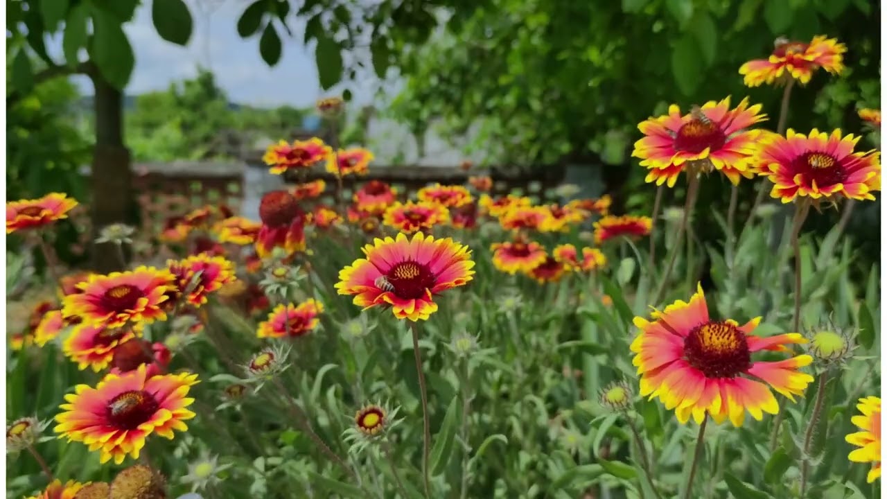 Segura as bênçãos - Musica