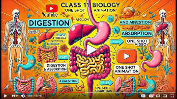 CBSE Class 11 || Biology || Digestion and Absorption || Animation || in English