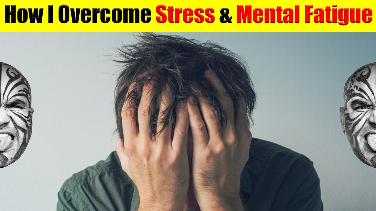 Video #3558 - How I Overcome Depression, Stress, Burnout & Mental Fatigue Every Single Day - YouTube