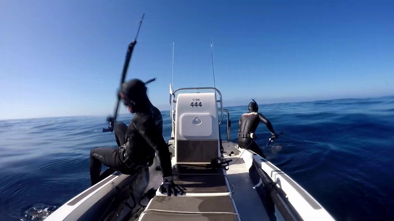 Spearfishing Arniston feb 2020