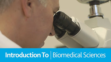 Introduction To Biomedical Science - University of Worcester