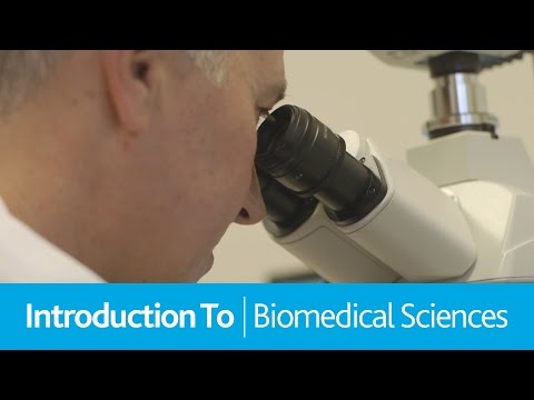 Introduction To Biomedical Science – University of Worcester