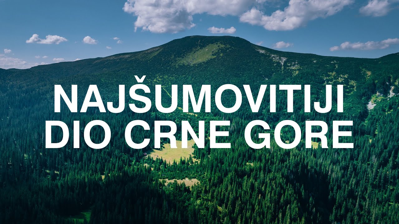 Pljevaljska šetnja (Lokalni Hodači)