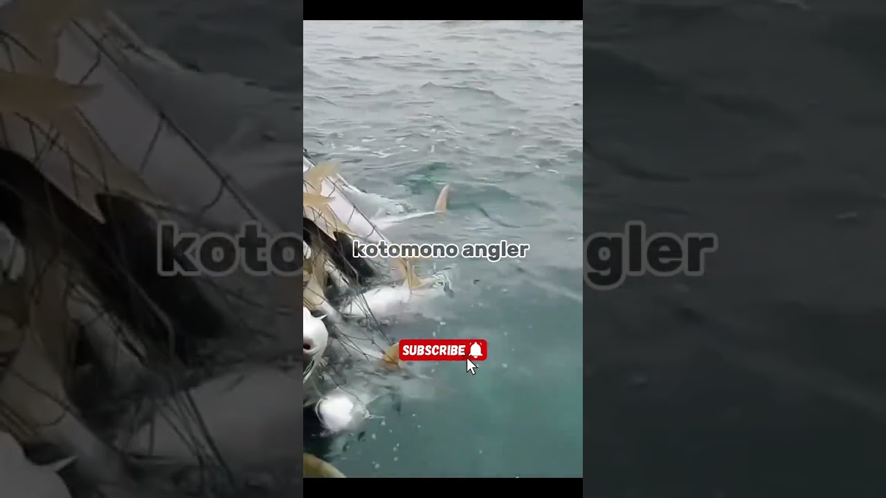 menangkap ikan dengan tehnik jala atau jaring