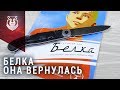 Нож Белка! Обзор и тест ножа Belka от Brutalica Knives