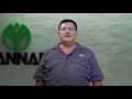 Maize Hybrid Package For Irrigation Maize Hybrid Package For Irrigation