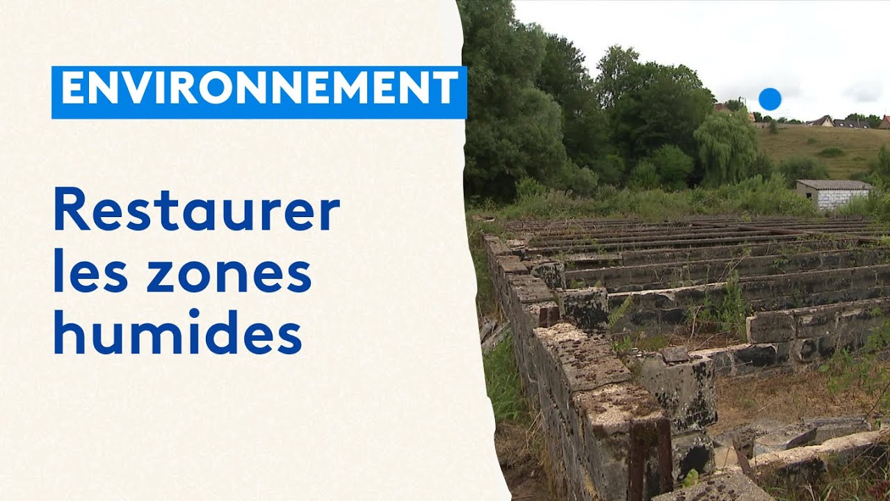 Renty Restauration de zones humides, à Renty dans le Pas-de-Calais - YouTube